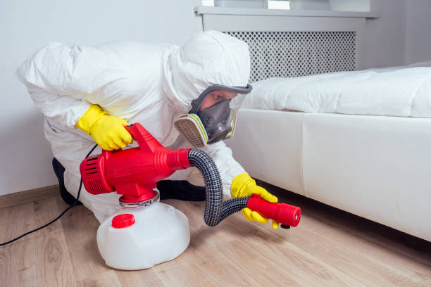 Best Pest Prevention Services  in Avodo Heights, CA